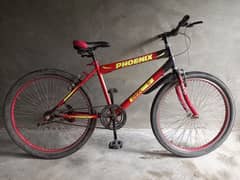 Phoenix