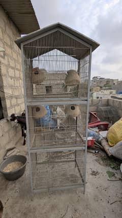 3 floor birds cage