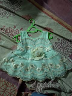baby froq