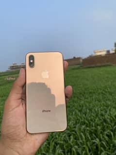 Iphone Xs