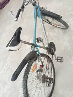 Shimaro cycle