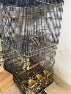 Cages