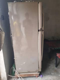 fridge all ok in used