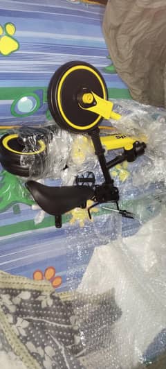 todsnteen's brand new tricycle
