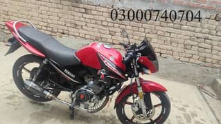 yamaha YBR 125