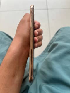 iPhone XS Max and iPhone X