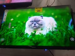 lED and LCD is available