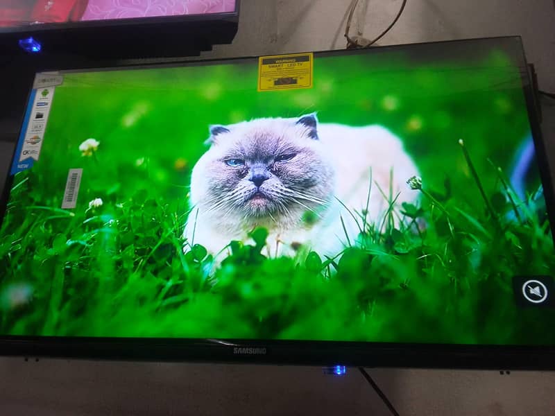 lED and LCD is available 0