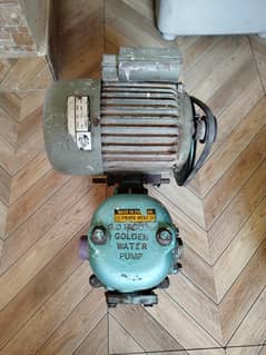 Golden Water Pump