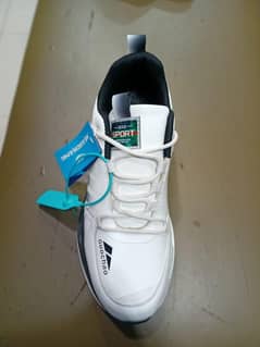 Men's Classical Shoes