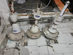 Royal ceiling fan