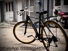 Finiss sports bike