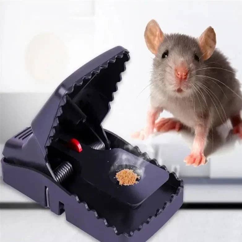 Kill Mouse Trap – Pet Safe 2