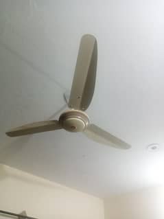 Used