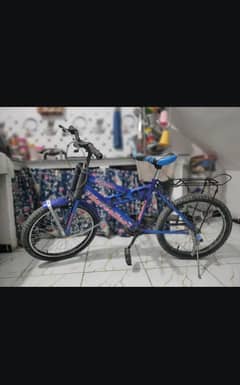 wheeling cycle for 11 years old