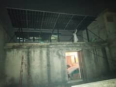 Elevated solar structure