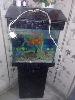 fish equarium for sale