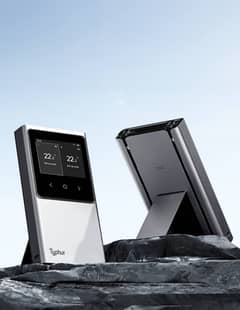 Typhur Sync Series kitchen thermometer