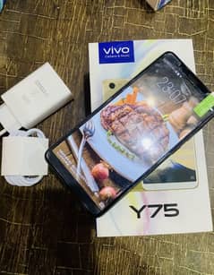 Vivo Y75 4/64