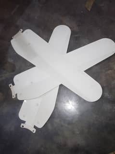 Staro Company Ceiling Fan