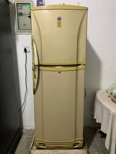 Pell Refrigerator | 2 Door | For Sale