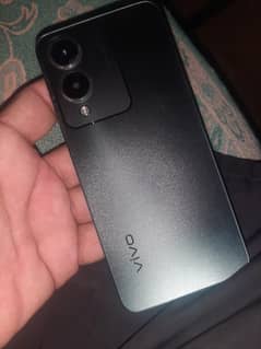 vivo