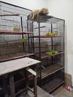 cage emergency sale