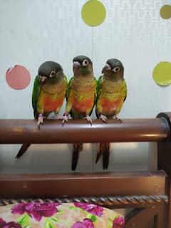 Three