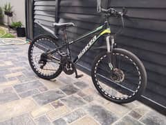 sports cycle 24 inch