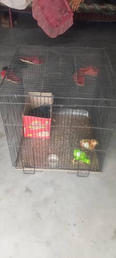 cage