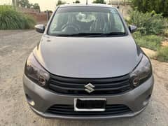 Suzuki Curtis vxr 2018 Model