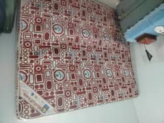 Molty Ortho Foam
