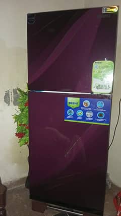 orient refrigerator
