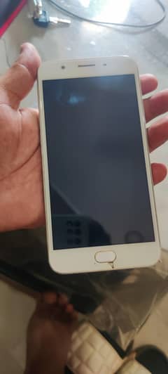 oppo