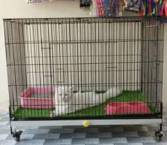 Dog and cat cage House wheel cage