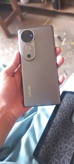 Vivo