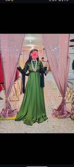 cut Dana maxi