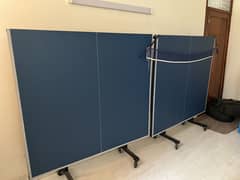 Folding Table Tennis Table
