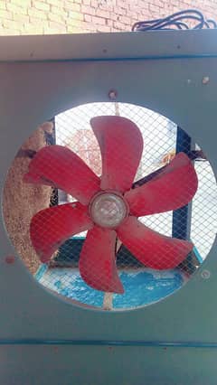 lahori cooler