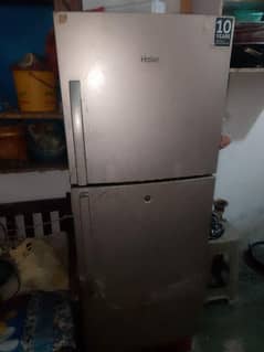 Haier