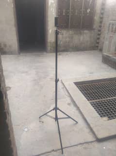 stand
