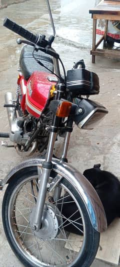 Kawasaki 100cc