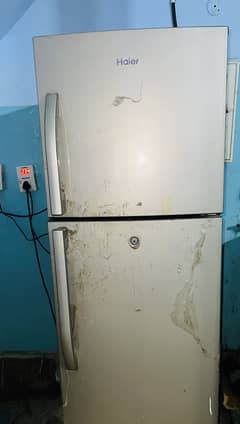 fridge