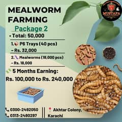 Mealworms | Usa breed Mealworms | beetle | larva | pupa | just Rs :1/