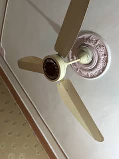 Beat Conditions Al-Ahmad Fan for sale