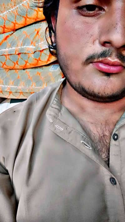sindhi salam