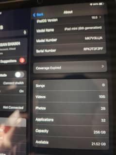 Ipad mini 6 256 GB All ok 10/9.5 condition With box and charger