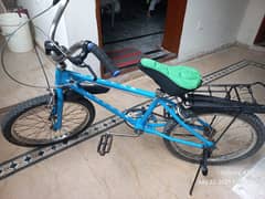 Cycle PECO Excellent Condition Just like NEW Ready to Ride