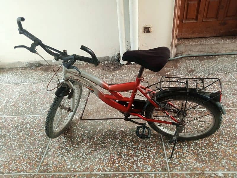 19 inch bicycle 0