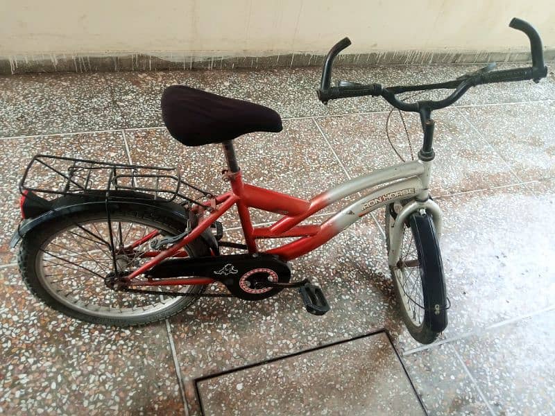 19 inch bicycle 1